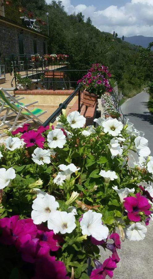 B&B Le Colline Di Bana Camogli Exteriör bild